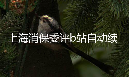 委评违原则上海反了消保续费b站自动自愿公平
