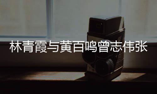 黄百林青老友嘉等聚会鸣曾霞与 星志伟张艾光璀璨