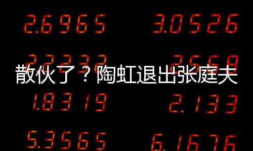 了陶虹退出散伙夫妇行列张庭公司股东传媒